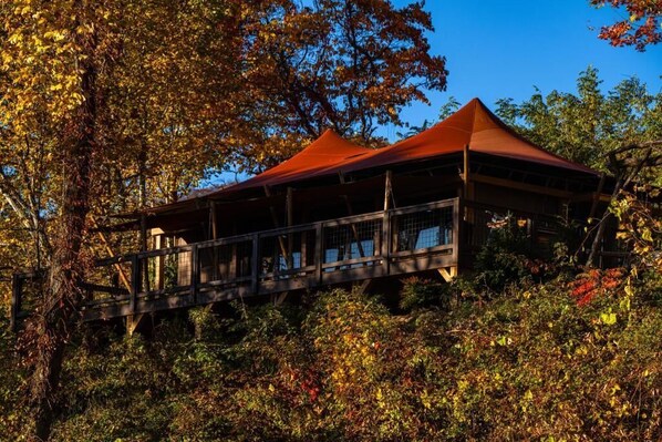 Tanager | Exterior