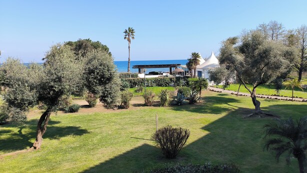 A landscaped garden with a view of the sea, featuring a gazebo, palm trees, and a white building. - Seaside studio in Moriani (San-Nicolao)