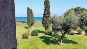 A view from a balcony overlooking a well-maintained lawn with tall cypress trees and a clear blue sky. - Seaside studio in Moriani (San-Nicolao)
