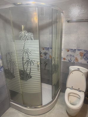 Un baño con ducha envuelta en cristal, inodoro y paredes de azulejos.