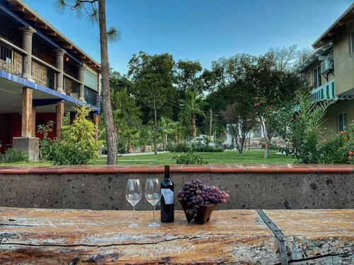 Hotel Casa Patrón Parras 