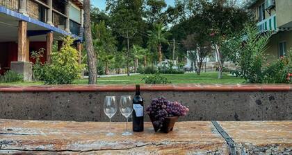 Hotel Casa Patrón Parras