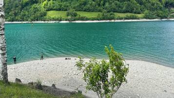 Blick auf ein Seeufer mit Kiesstrand, ein kleiner Baum und eine ferne Hügelkette mit dichtem Wald.