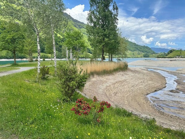 A natural landscape with a river, grassy areas, and trees.