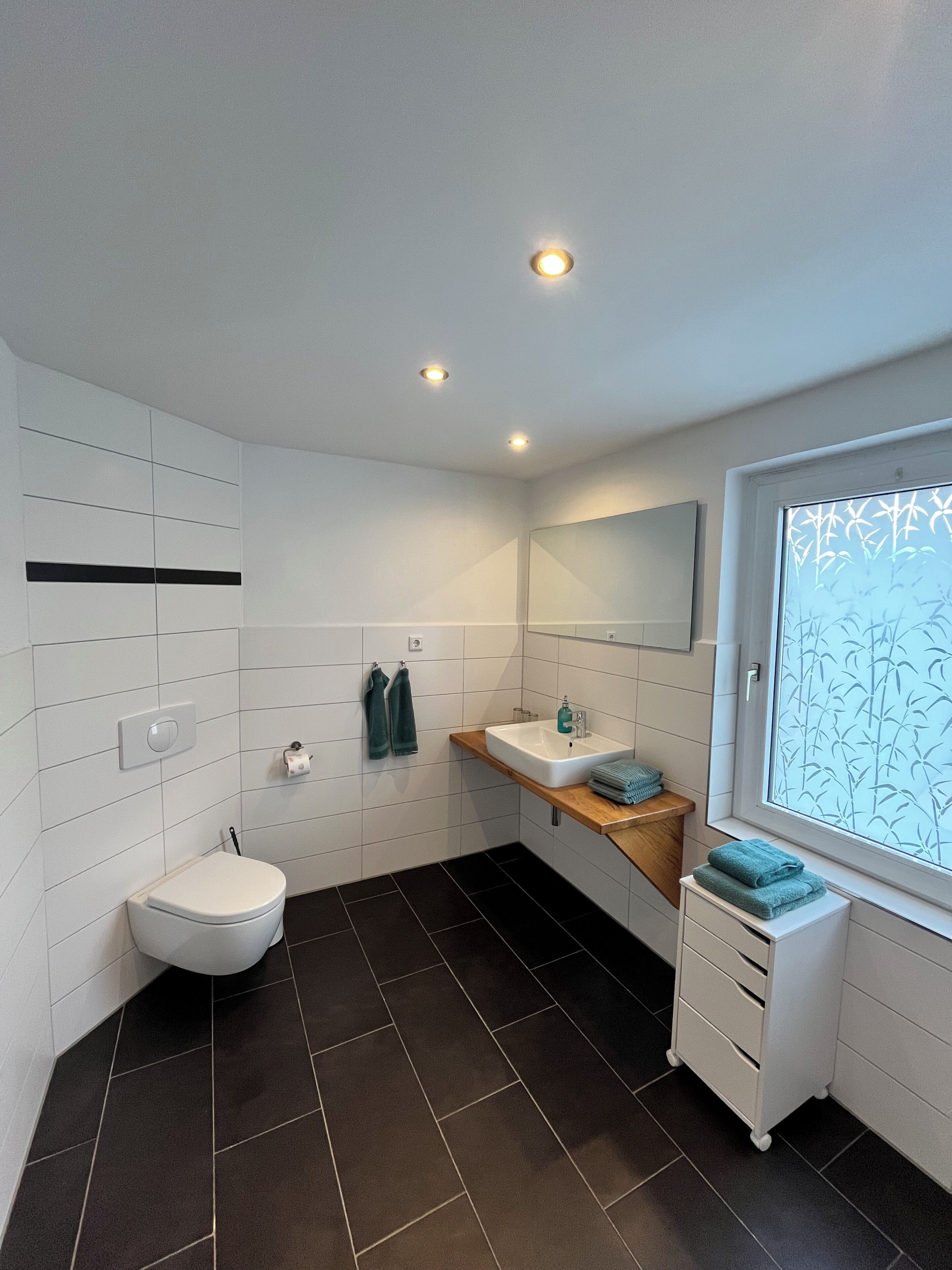 Shower, towels, toilet paper