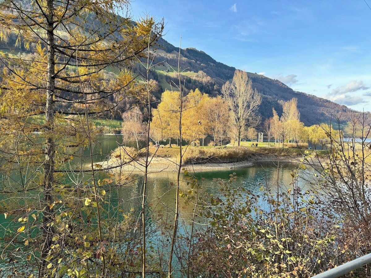 Un fiume con una zona boscosa e delle colline sullo sfondo.