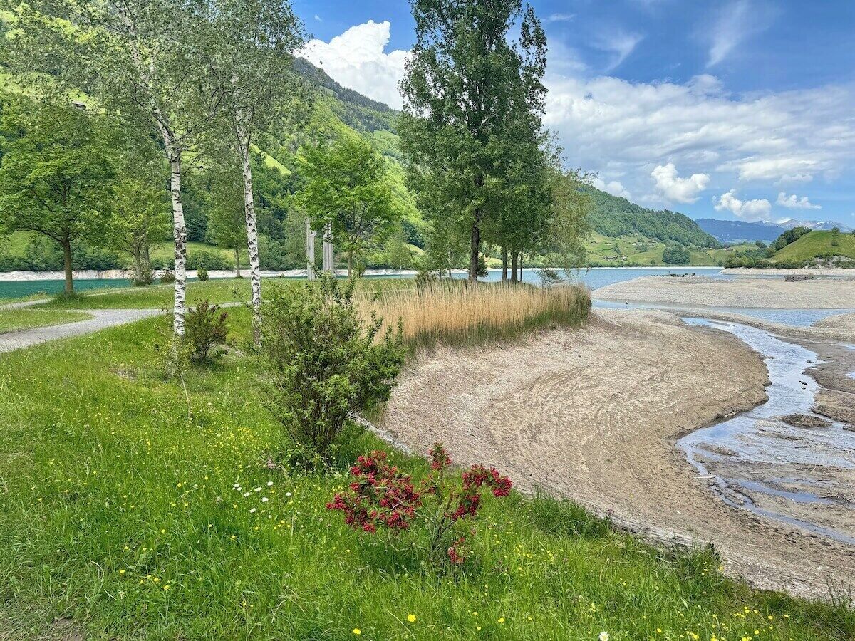 Un paysage naturel comprenant une rivière, des zones herbeuses et des arbres.