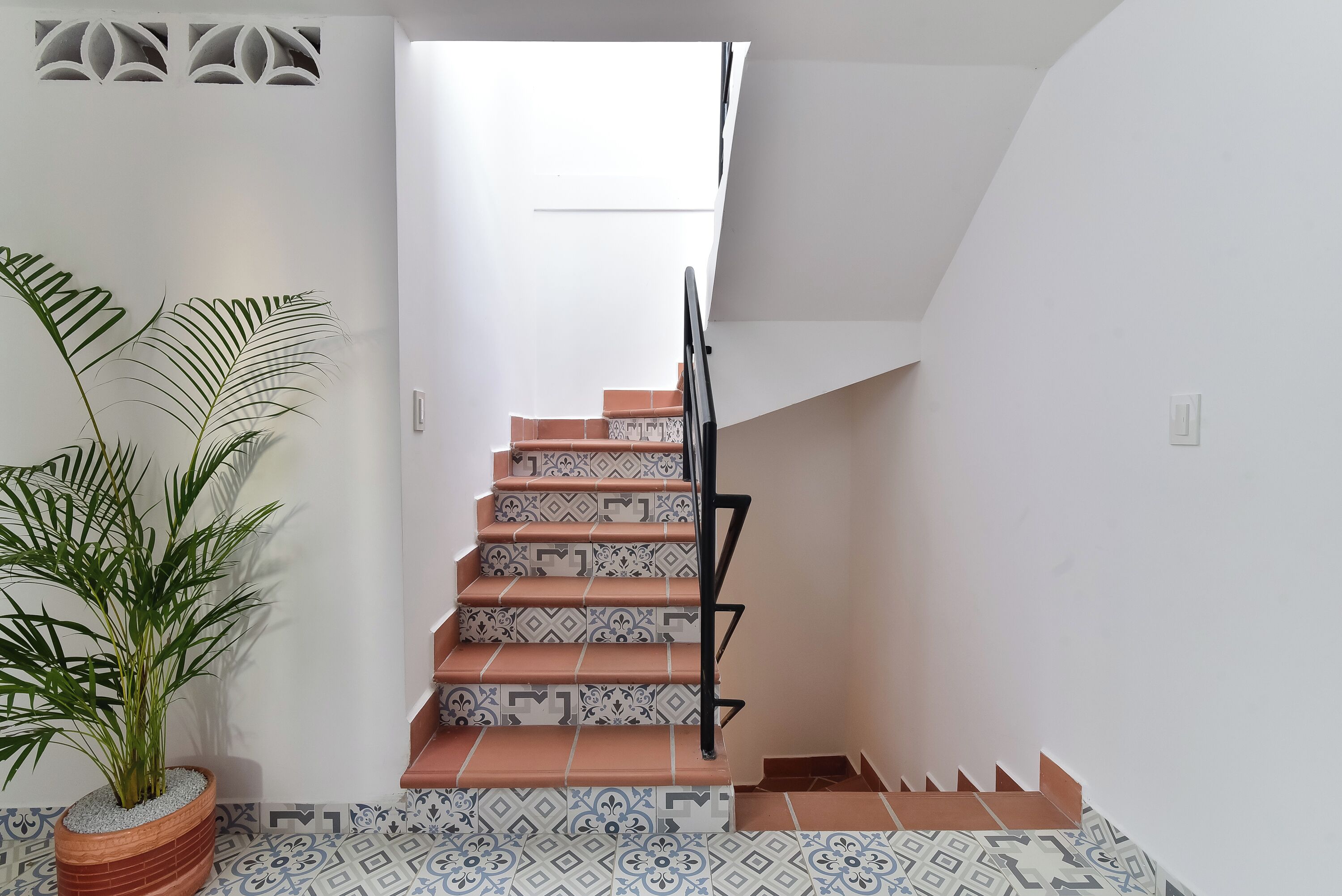 Una escalera con baldosas estampadas, una planta en maceta y una pared blanca.