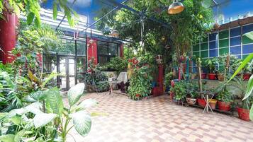 House | Terrace/patio