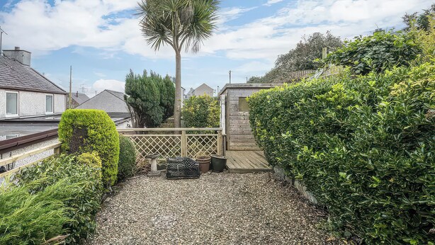 A backyard with a palm tree, a wooden deck, and various shrubs. - Preswylfa (Cemaes Bay)