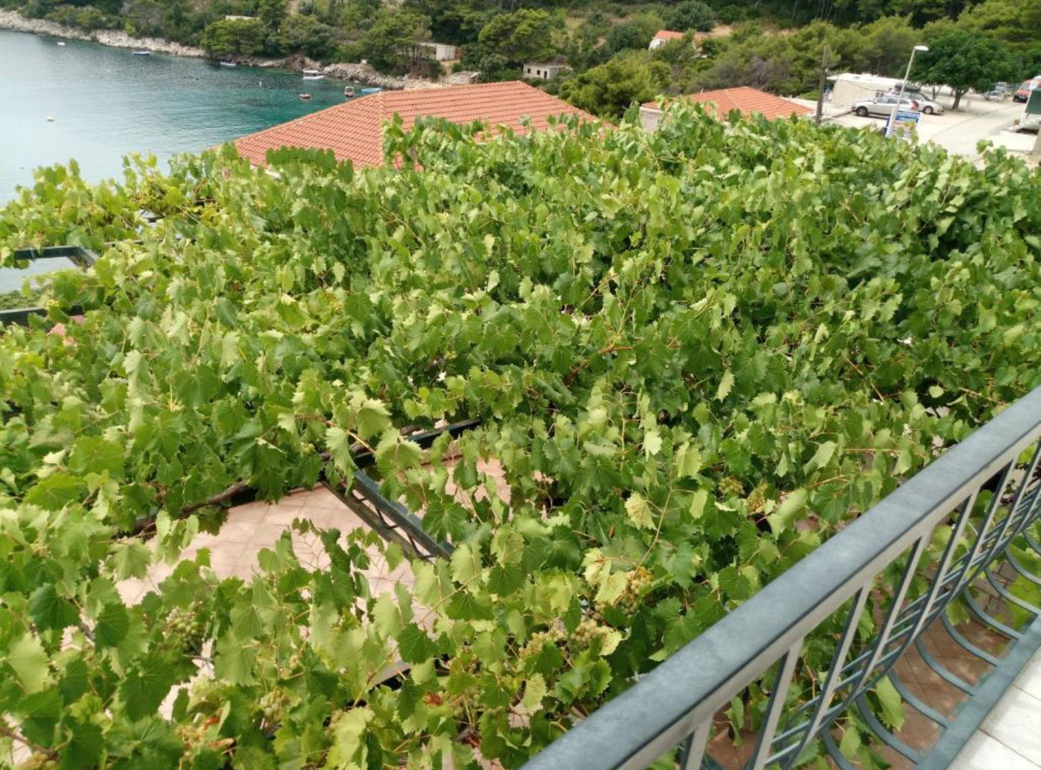 Apartment (One bedroom apartment Mirta) | Balcony