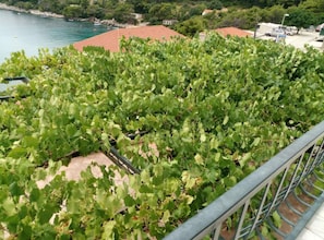 Apartment (One bedroom apartment Mirta) | Balcony - Villa Azure Saplunara (Mljet)