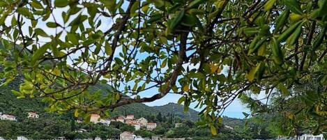 Appartement (One bedroom Apartment with view) | Extérieur