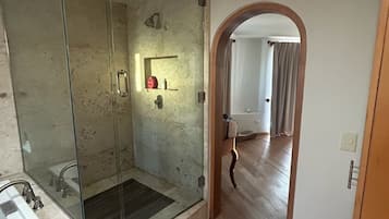 Shower, jetted tub, hair dryer, towels