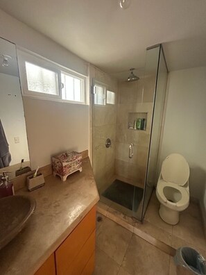 Shower, jetted tub, hair dryer, towels