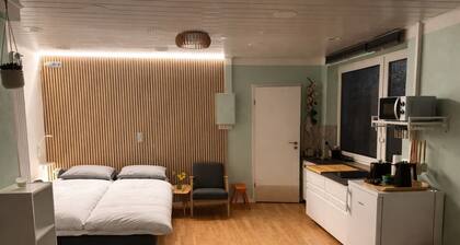 Studio mit Küche im Auerbacher Ortskern nähe Fürstenlager