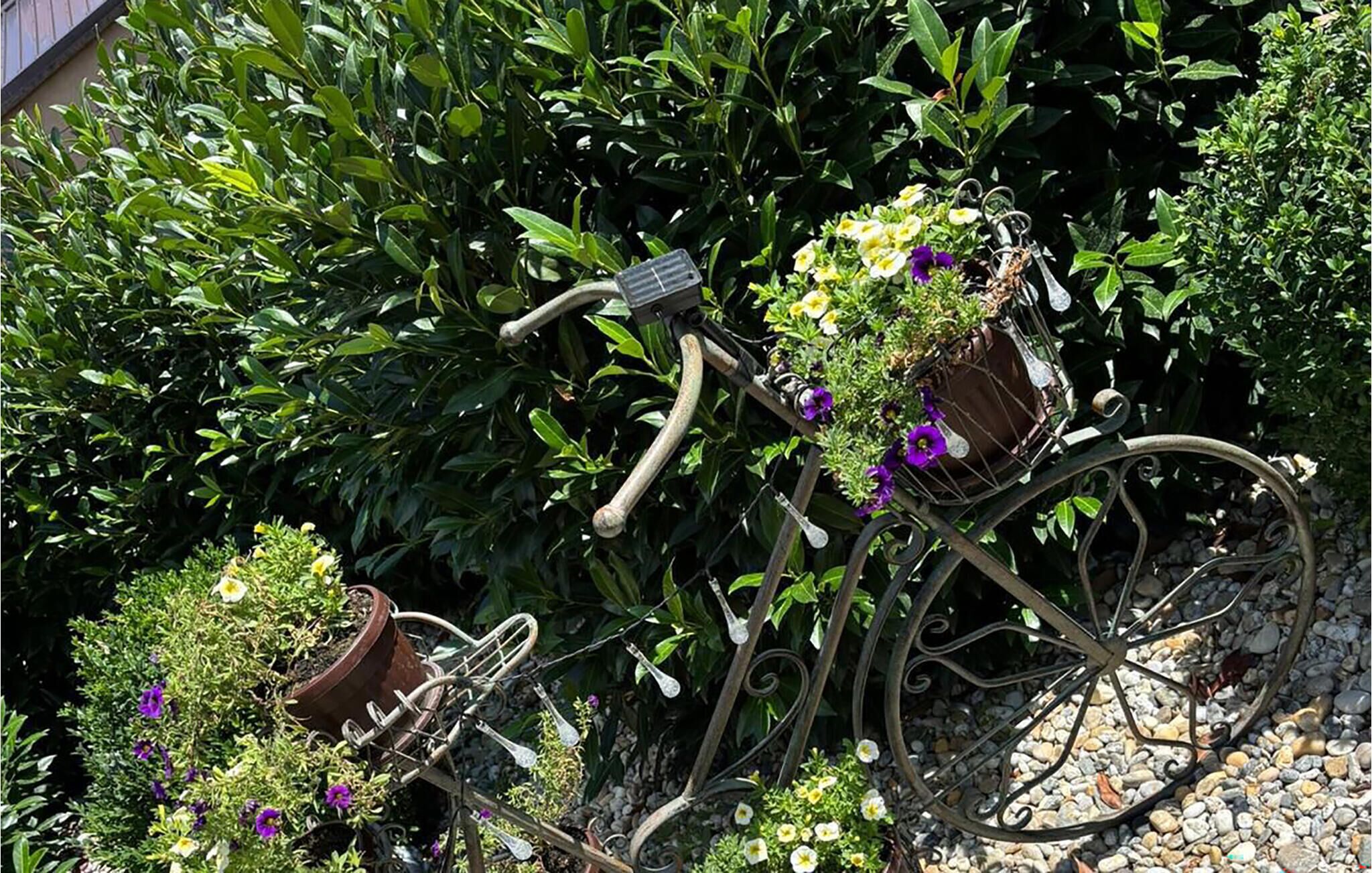 Una bicicleta con una cesta y una pequeña planta en maceta.