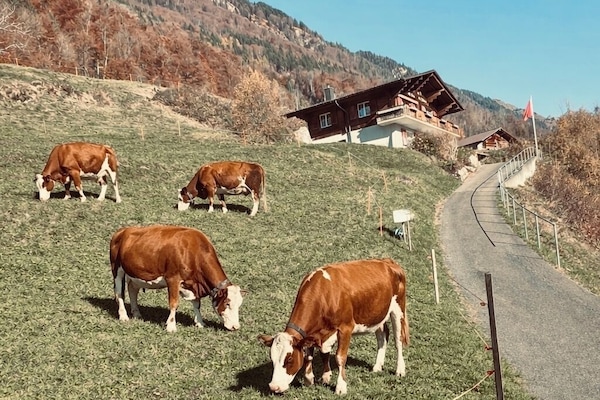 Verschiedenes