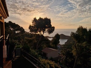 A coastal landscape with a prominent tree, a building with a tiled roof, and a view of the sea. - Casa Santani (Begur, Sa Tuna) (Sa Tuna, Begur)