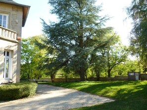 A house with a gravel driveway, a large tree in the front yard, and a stone wall.