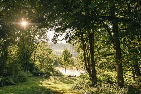 A forested area with a clear path leading to a distant view, possibly a lake or open space. - Hudson Pond · Garden Queen Suite · GF Breakfast (Poughkeepsie)