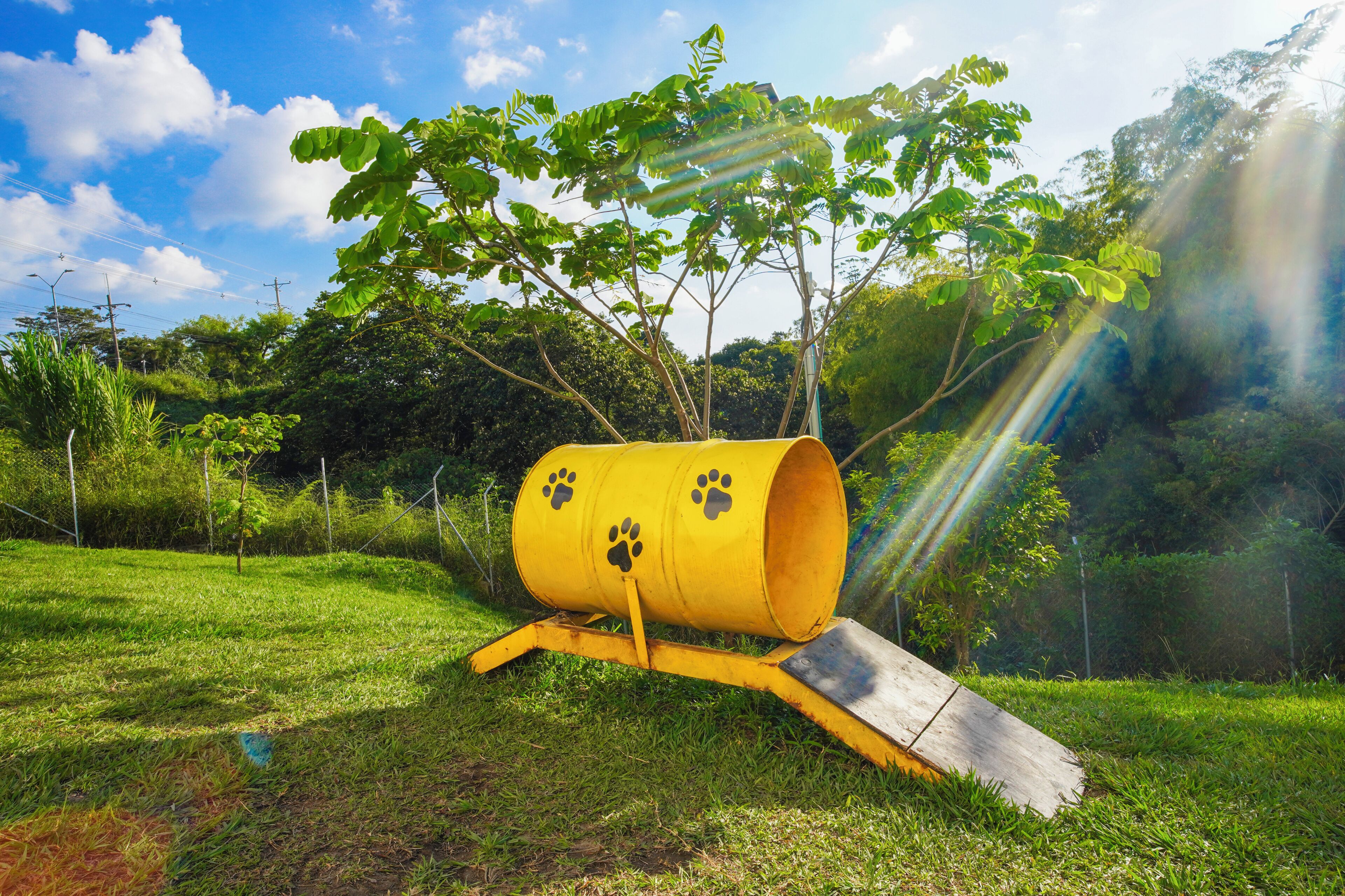 Comodidades para pets