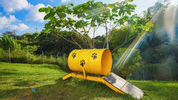 Comodidades para pets