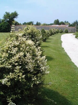 Terrein van de accommodatie