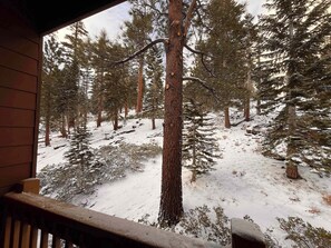 Property grounds - Ski Condo, Sleeps 8, Hot Tub, Garage, Dog Friendly (Mammoth Lakes)
