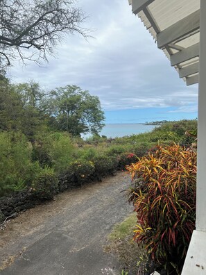 Property grounds - Charming Surfer's dream Hawaiian Home near Lyman Beach on Ali'i Drive (Kailua-Kona)