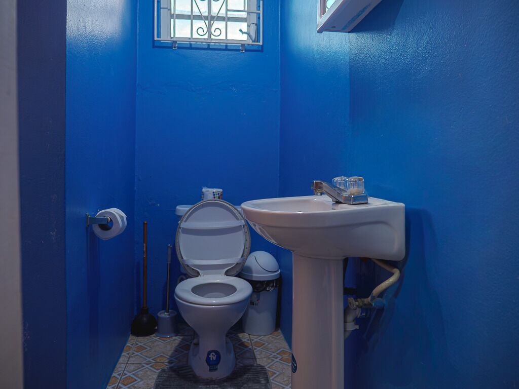 Een badkamer met een blauwe wand, een wit toilet, een witte wastafel en een raam met tralies.