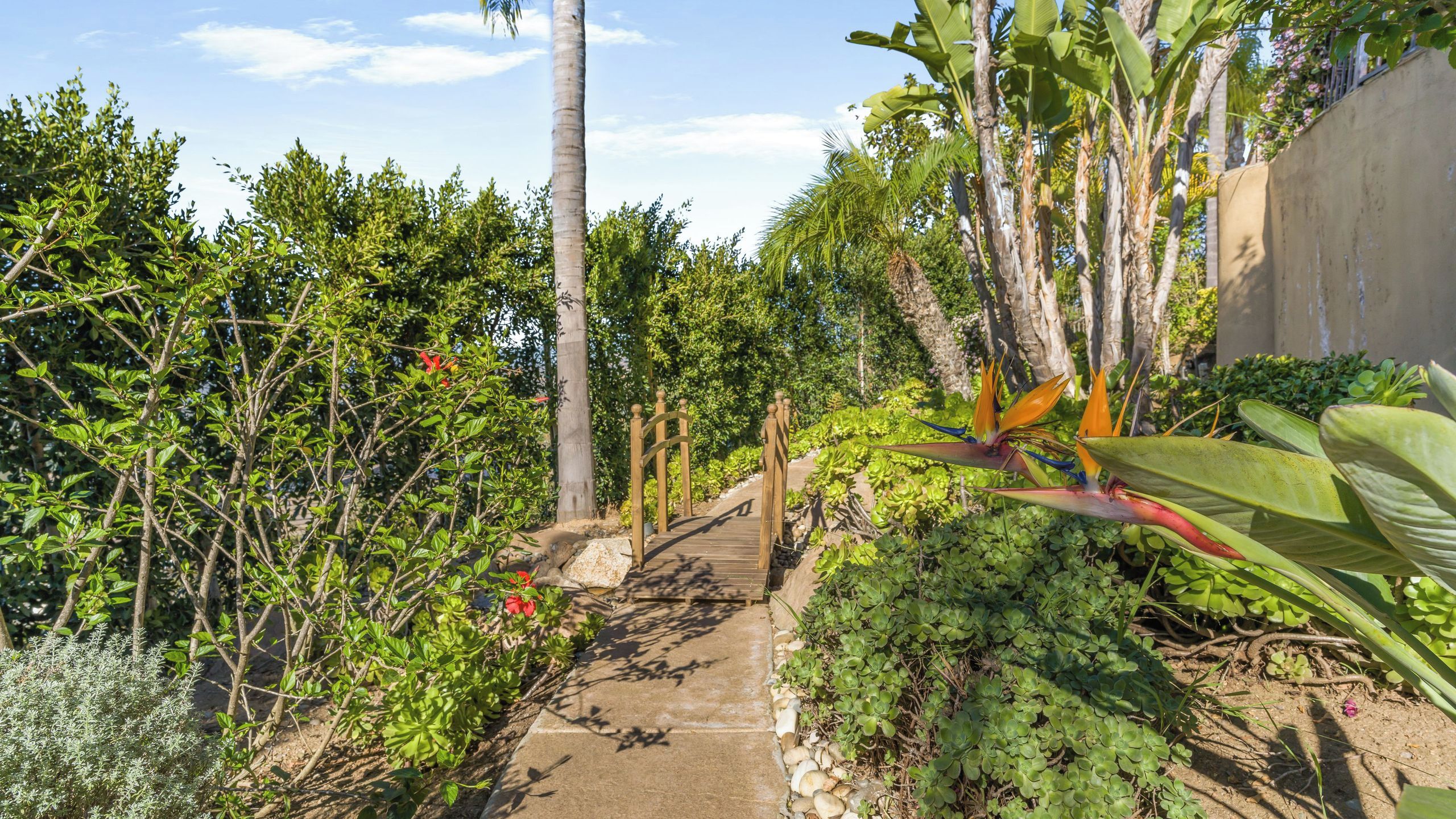 A garden pathway with various plants and a wooden gate.
