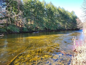 A river with clear water, surrounded by dense forest. - Soothing studio apartment - on the Battenkill River in charming, Shushan (Shushan)