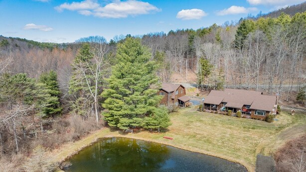 A lodge with a pond, surrounded by forested hills. - Soothing studio apartment - on the Battenkill River in charming, Shushan (Shushan)