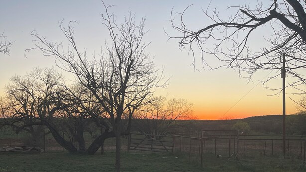 Un bain à remous dans un jardin, avec vue sur le coucher de soleil, entouré d’arbres et d’une clôture.