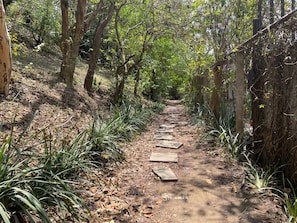 Un sentier bordé d’arbres, avec des dalles de pierre, entouré d’une végétation luxuriante.