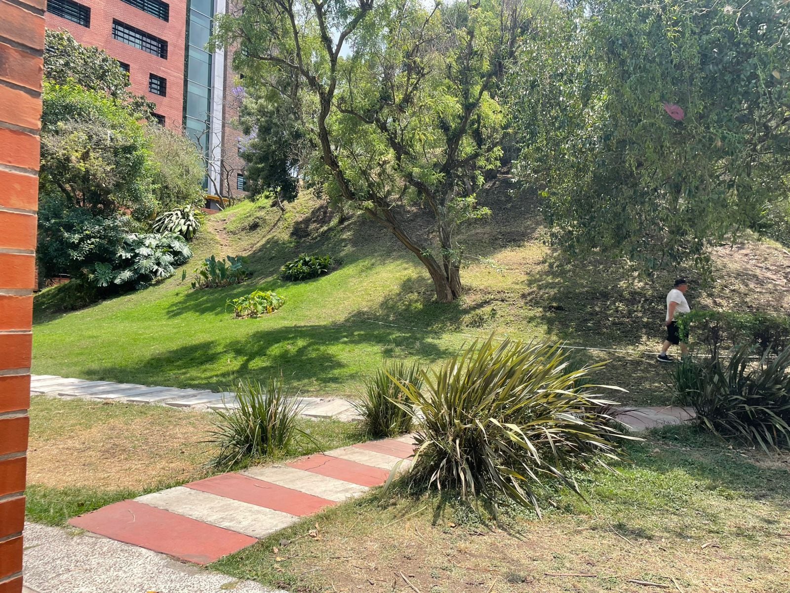 Un jardín ajardinado con un sendero, un edificio al fondo y una persona caminando.
