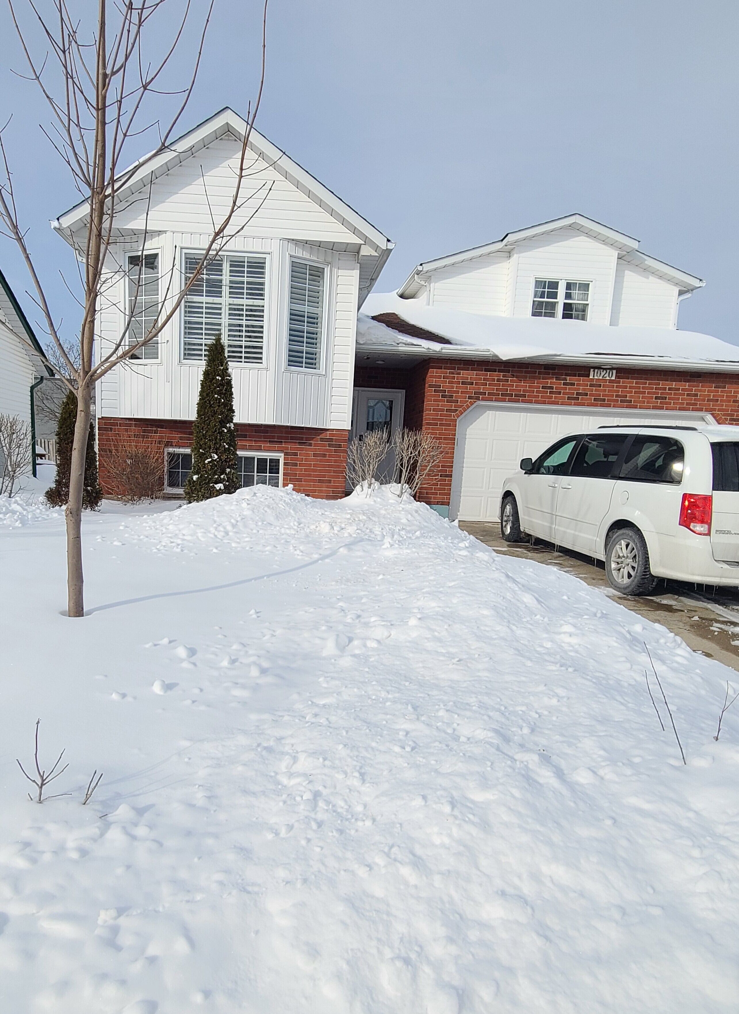 Terrain de l’hébergement 