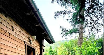 Vacation home Hengsttal - Cozy log cabin in Puchberg am Schneeberg
