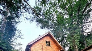 Una cabaña de madera con un ventanal pequeño, rodeada de árboles y un sendero de grava que conduce a ella.