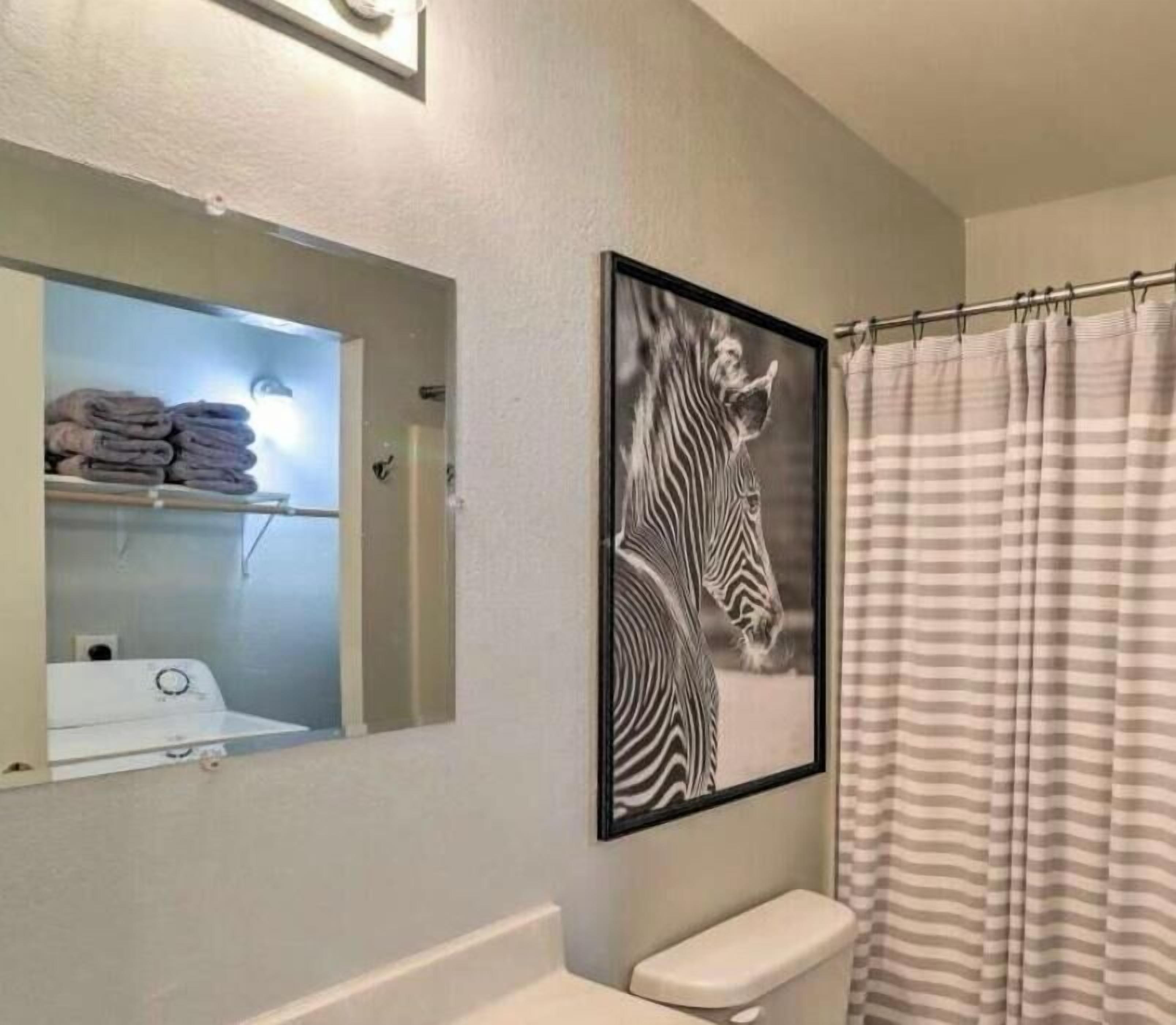 Hair dryer, towels, soap, toilet paper