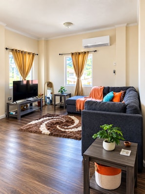 A modern living room with a flat-screen TV, a sofa, a coffee table, and a rug. - Ma G’s Downtown Soufrière Townhouse (Soufriere)