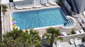 Una piscina rettangolare con trampolino, circondata da sdraio e palme.