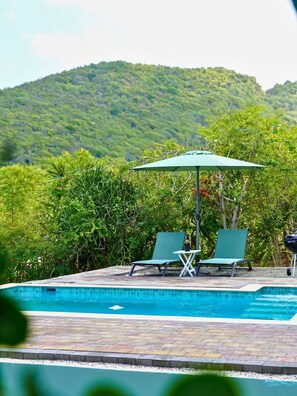 Outdoor pool - Westpunt Villa  l 2BR Near Turtle Beach (Westpunt)