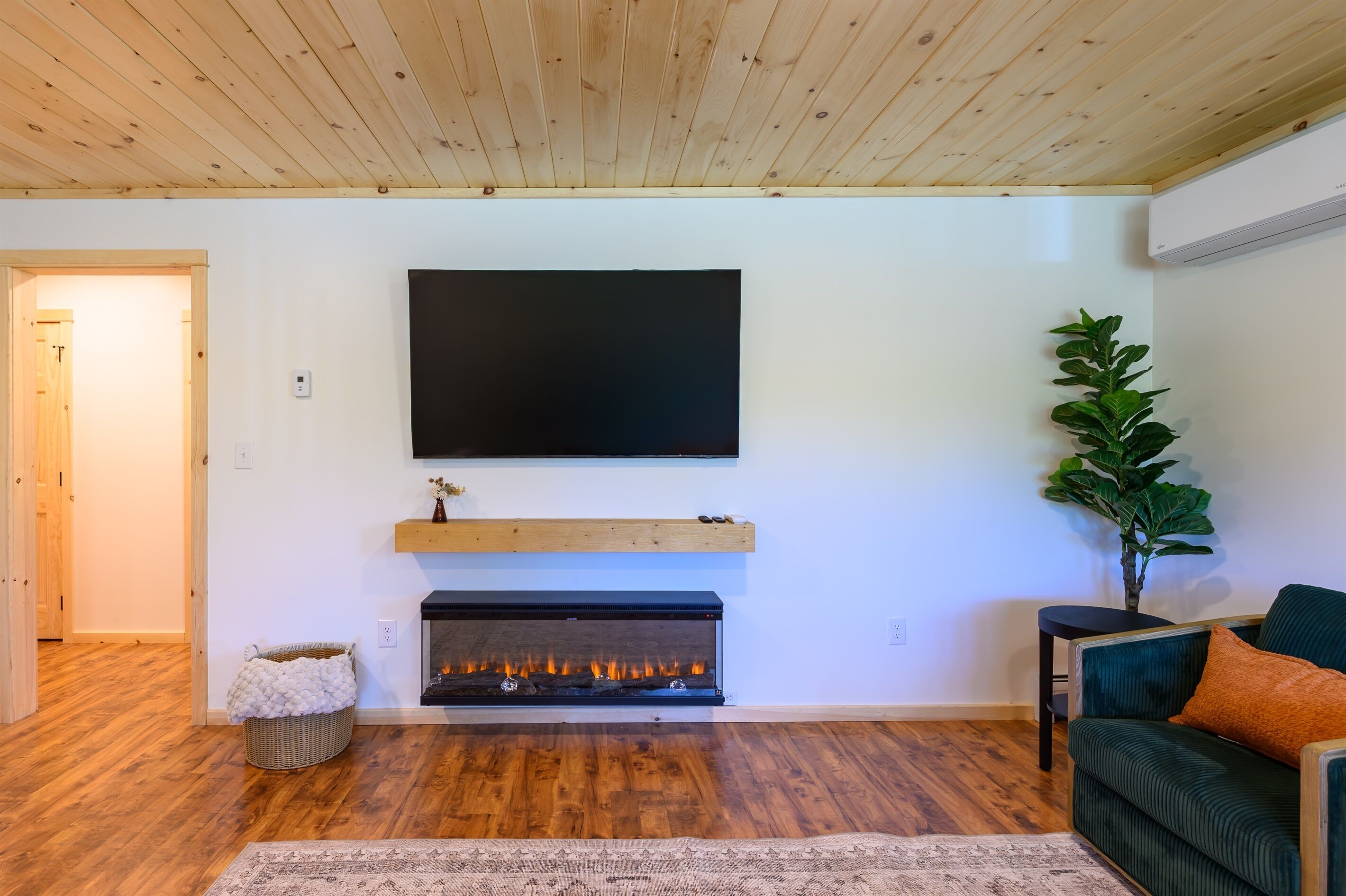 Smart TV, fireplace, books