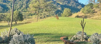 Caravan "Carmella": on a Hill on a Magnificent Property "Argyle" near Scone NSW