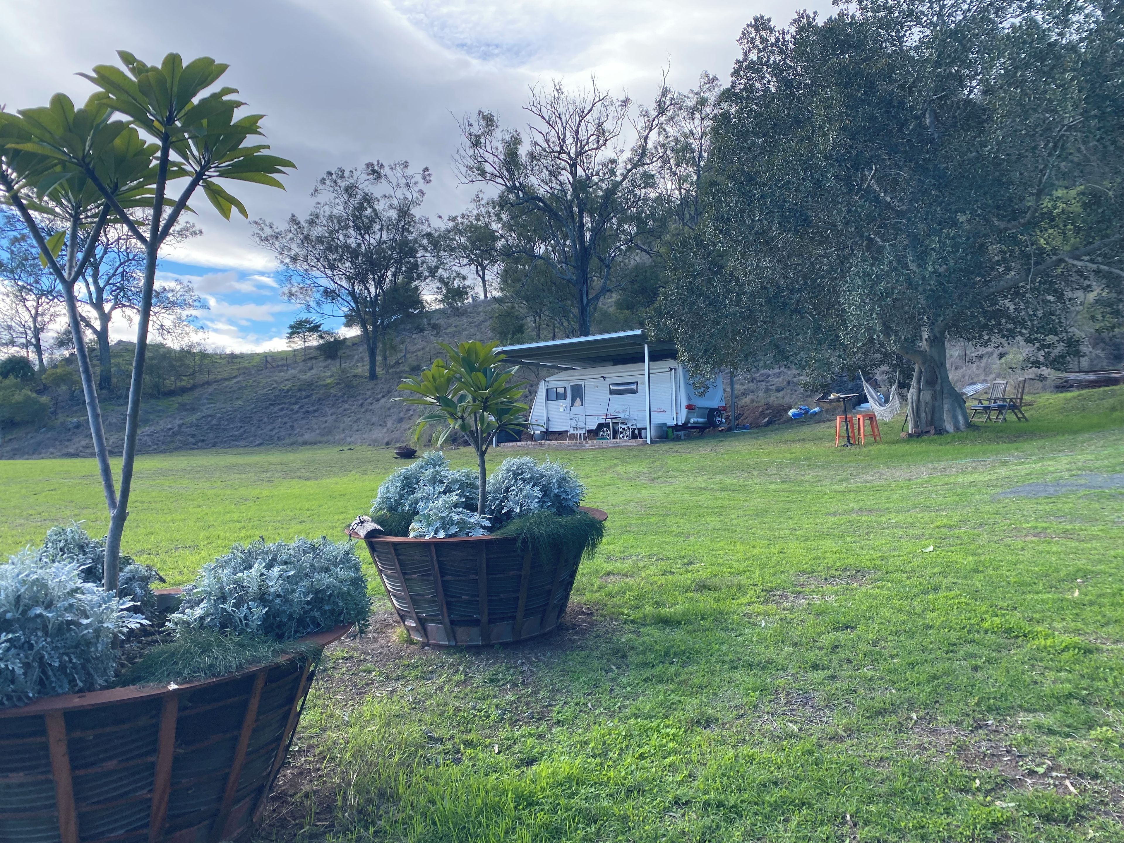 A grassy area with a small tree, a wooden planter with plants, and a white trailer with a roof.