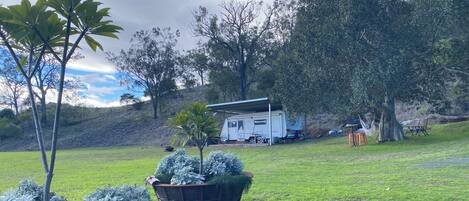 A grassy area with a small tree, a wooden planter with plants, and a white trailer with a roof.