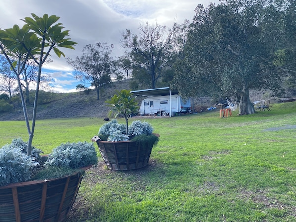 A grassy area with a small tree, a wooden planter with plants, and a white trailer with a roof.