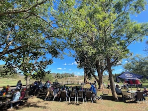 Reunião ao ar livre com pessoas sentadas em mesas sob árvores, uma tenda e um céu azul límpido.